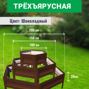 gryadka brown